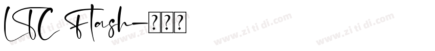LTC Flash字体转换